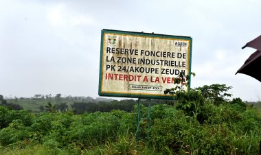 CI-Transformation des matières premières : une nouvelle zone industrielle en gestation