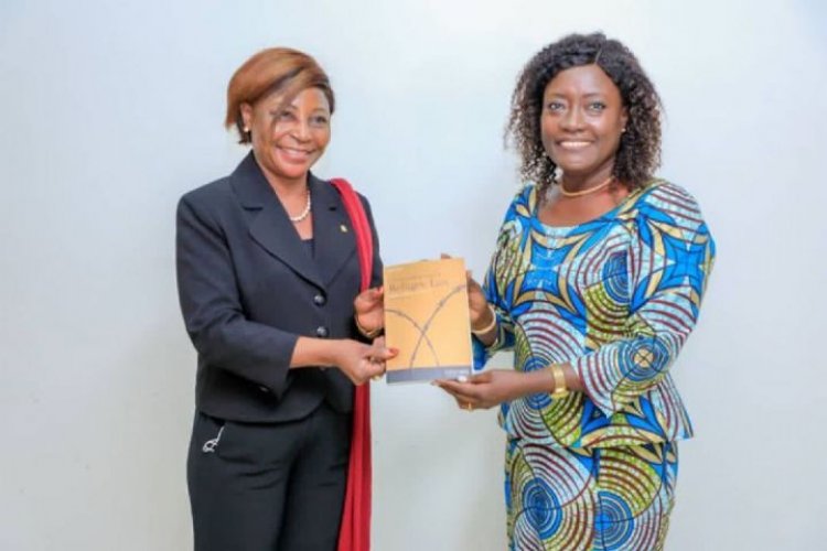 Côte d’Ivoire : 4 sujets essentiels meublent les échanges Hcr-Gouvernement