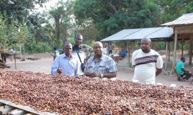 Côte d’Ivoire-Daoukro : Olivier Akoto (député), hôte du campement historique d'Akringoua.