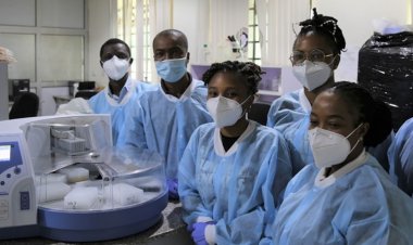 Afrique-Gestion de la covid-19 :  « Comment le renforcement des capacités a véritablement changé la donne » (Banque mondiale) 