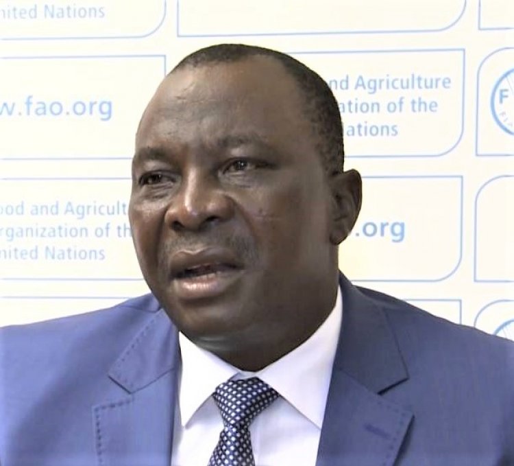 Côte d’Ivoire : « Gbagbo regrette le temps de ses cortèges arrogants » (Adjoumani, Pp du Rhdp)