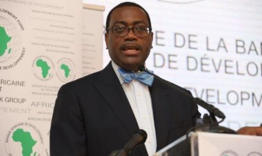 Afrique : « L’agriculture, le plus grand business du continent » (Adesina, pdt de la BAD)