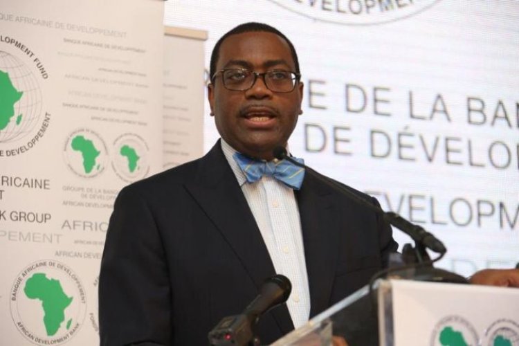 Afrique : « L’agriculture, le plus grand business du continent » (Adesina, pdt de la BAD)