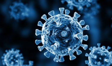 Côte d’Ivoire (Covid-19) : la grosse frayeur « en chute libre »