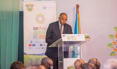 Côte d’Ivoire (COP 15) : « L’Initiative d’Abidjan va créer les conditions d'une durabilité environnementale » (Patrick Achi, 1er ministre)
