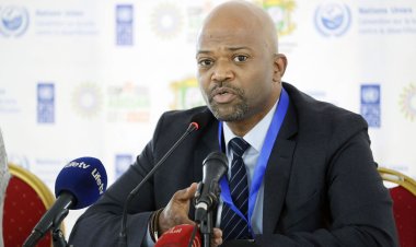 Côte d’Ivoire (Lutte contre la désertification) : Alex Pierre-Arnaud Assanvo (S.E. Initiative Cacao Côte d’Ivoire/Ghana) présente « sa solution »