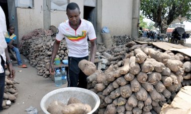 Côte d’Ivoire-Burkina Faso (Terrorisme) : des actions sociales pour booster la lutte cette pratique