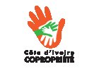 Côte d’Ivoire (Copropriété) : Cocody, le conseil syndical de Sopim-Plateau-Dokui en AG élective, le 23 octobre