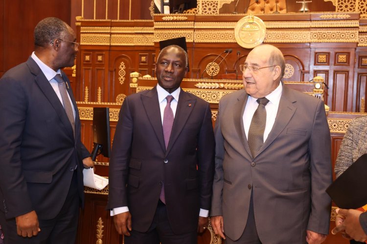 Côte d'Ivoire-Égypte (Coopération parlementaire) / Adama Bictogo opte une redynamisation gagnante