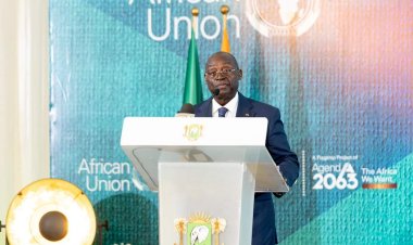 Afrique (Paix, sécurité et stabilité) / « La Côte d’Ivoire a des institutions démocratiques crédibles » (Tiémoko Koné, VPR ivoirien) :