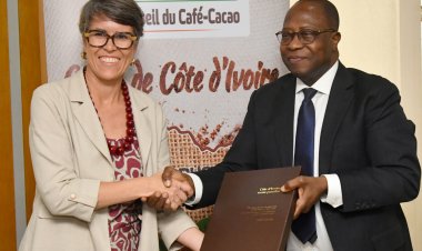 Côte d’Ivoire (Cacaoculture) / Le Brésil sollicite l’expertise ivoirienne