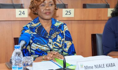 Côte d’Ivoire (Parlement) / Les députés valident 2 accords internationaux