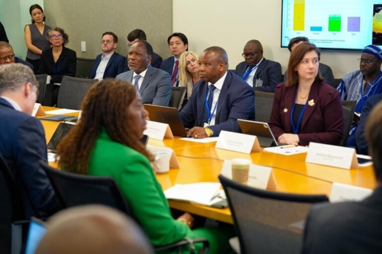 USA (Washington) / Orpaillage : Côte d’Ivoire, « un appel à une régulation mondiale stricte des produits chimiques miniers »